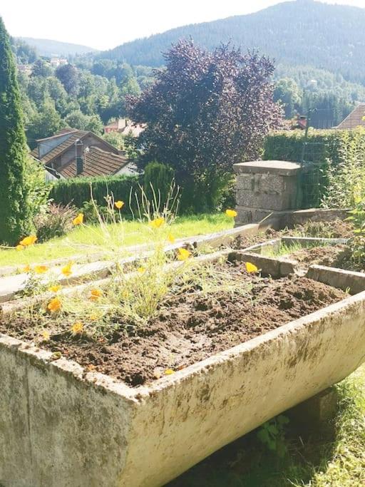 Gite ~ Clairefontaine Cornimont Exterior foto